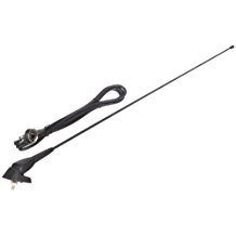 Pilot Autoantenne