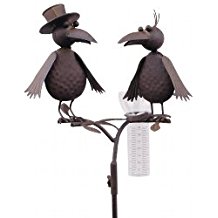 TFA Dostmann Vogelduo