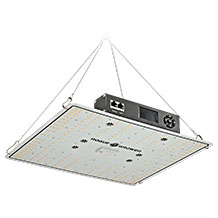 Rogue Grower Pflanzenlicht