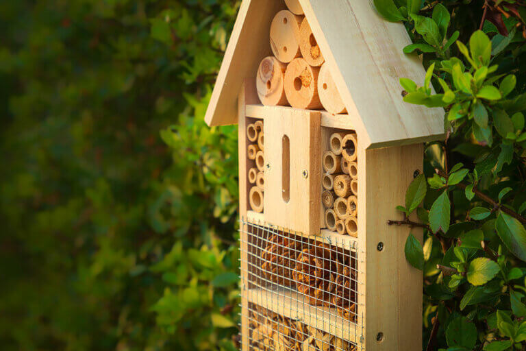 Insektenhotels