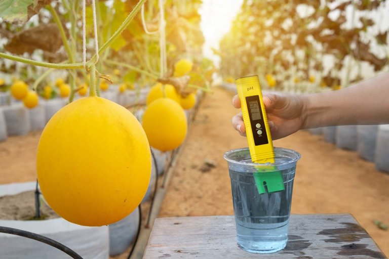 pH-Meter
